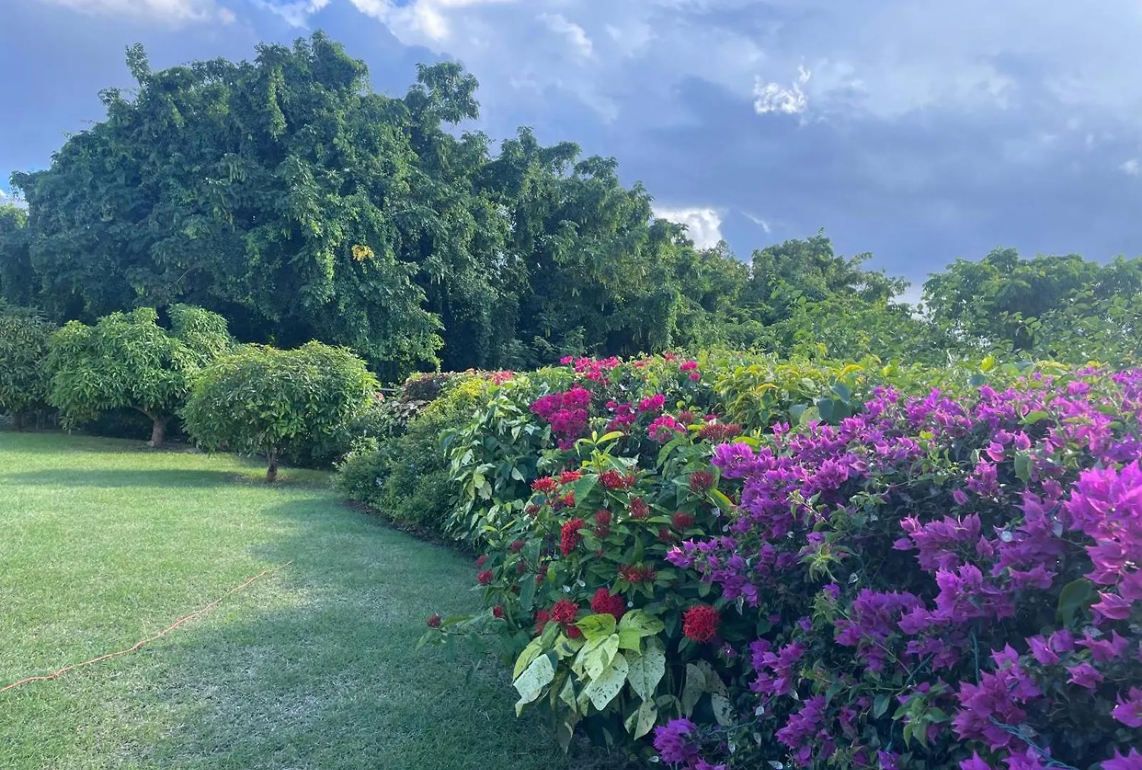 Spectacular Ocean View Retreat Appartement Saint James Barbados