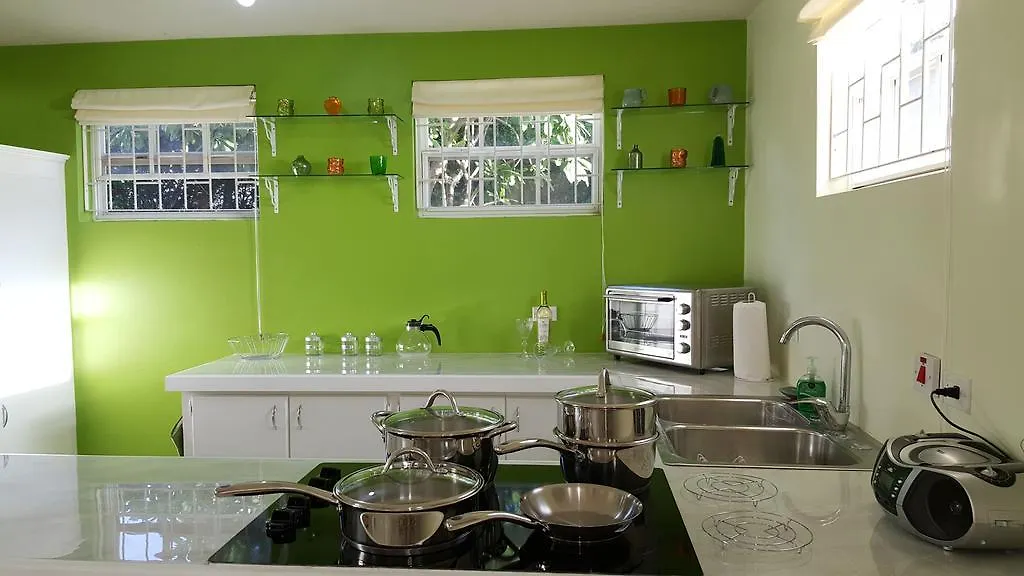 Spectacular Ocean View Retreat Appartement Saint James 0*,
