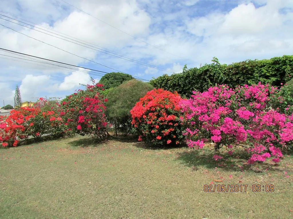 Spectacular Ocean View Retreat Appartement Saint James